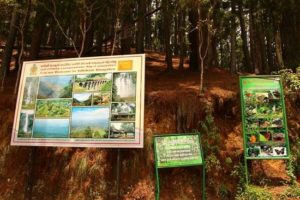 thangamale-bird-sanctuary