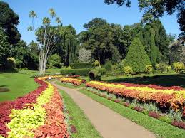 peradeniya gardens