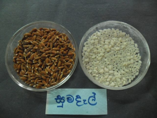 Sumangali Rice Traditional rice varieties of Sri Lanka - Ceylon Digest